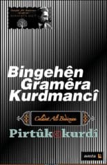 Bingehên Gramêra Kurdmancî