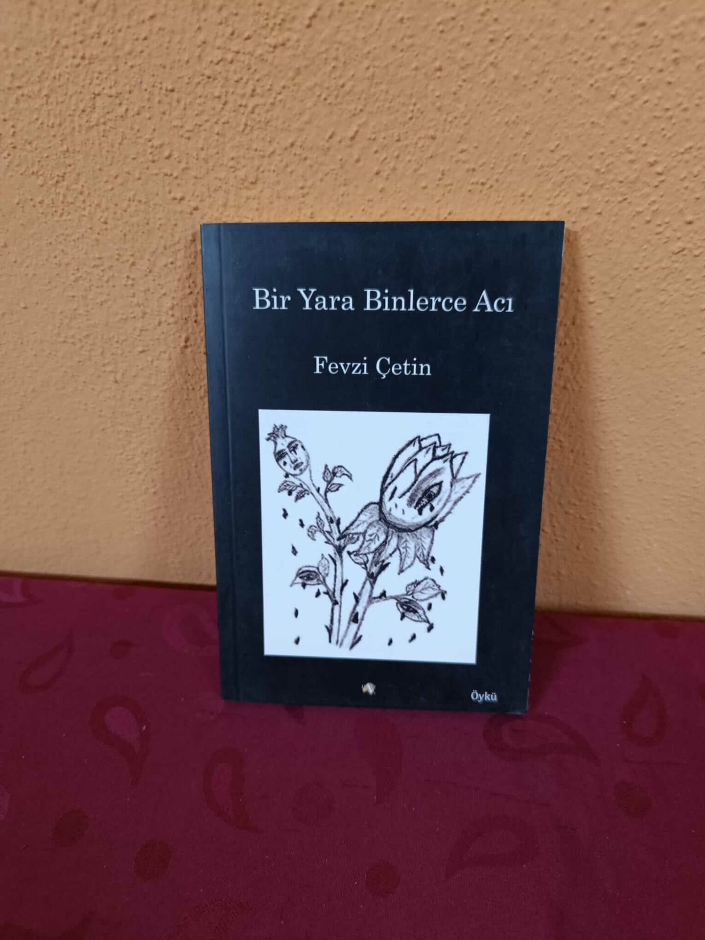 Bir Yara Binlerce Acı