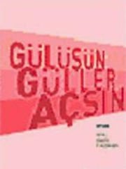 1919 Gizli ABD İşgali
