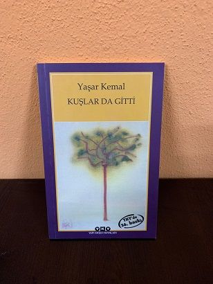 Kuşlar da Gitti