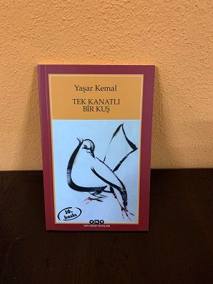Tek Kanatlı Bir Kuş