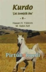 Kurdo 2 Çok Sevmiştik Onu