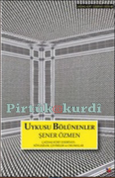 Uykusu Bölünenler-Çağdaş Türk Edebiyatı: Söyleşiler, Çeviriler, Okumalar