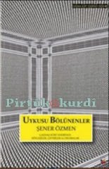 Uykusu Bölünenler-Çağdaş Türk Edebiyatı: Söyleşiler, Çeviriler, Okumalar