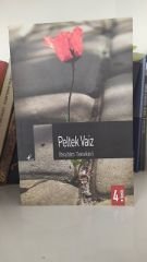 Peltek Vaiz