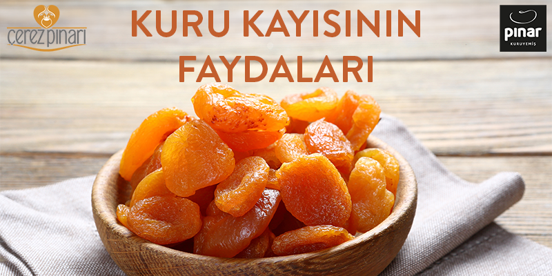 Kuru Kayısının Faydaları