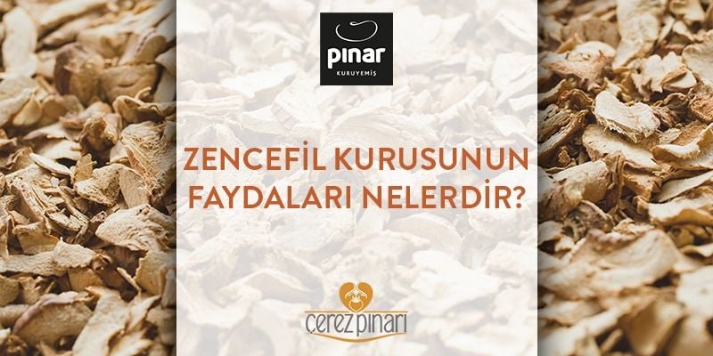 Zencefil Kurusu Faydaları