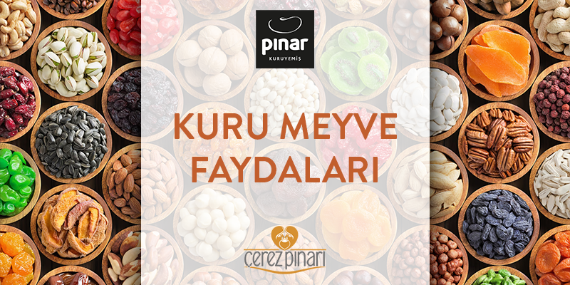 Kuru Meyve Faydaları