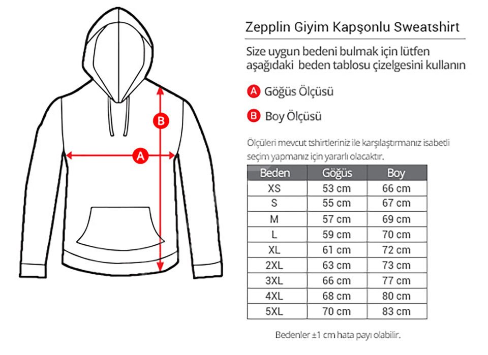 Remz Skate Logo Gri Kapşonlu Sweatshirt Hoodie