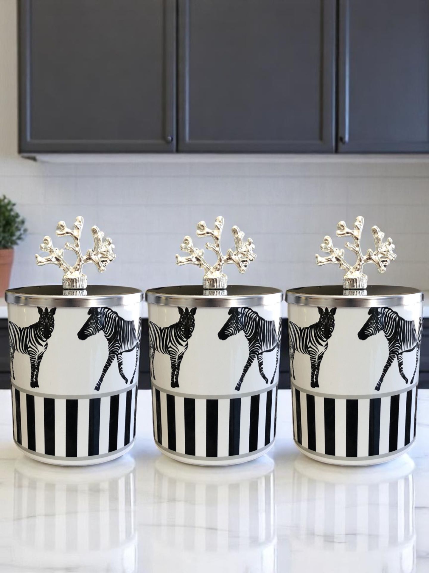 Baharatlık Silindir 3 lü Set Kahve Köşesi Zebra At Desenli 750 ml Mercan GÜMÜŞ
