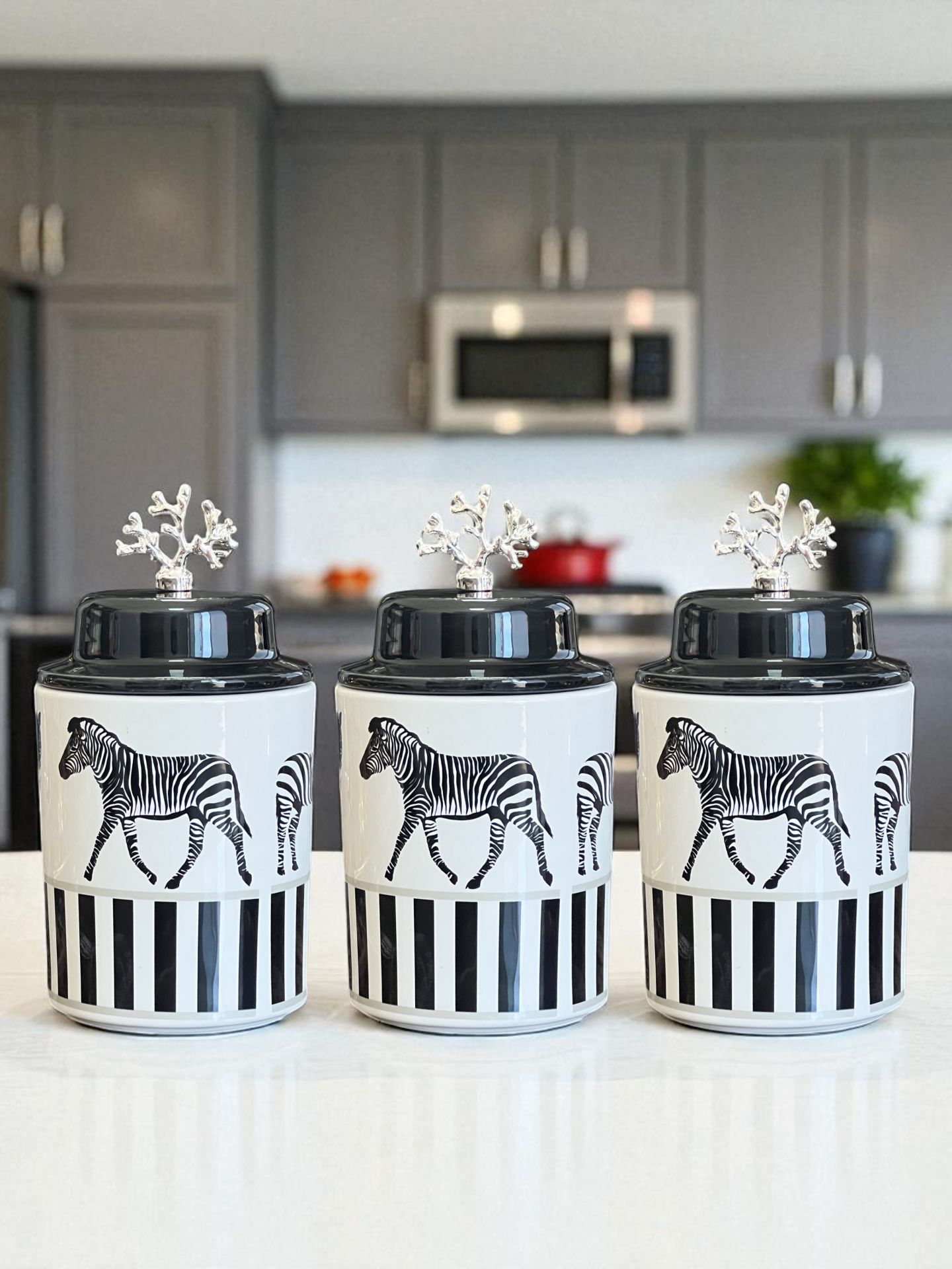 Baharatlık Silindir Seramik Kapaklı Büyük Boy Kapaklı 3 lü Kahve Köşesi Seti Zebra At 750 ml Hacimli GÜMÜŞ