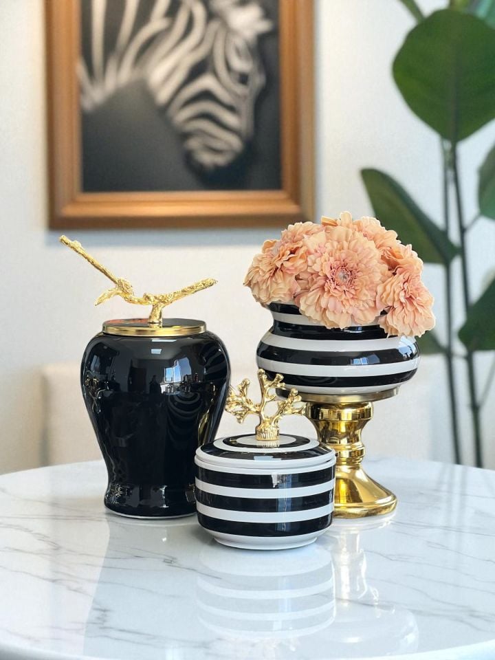 Dekoratif Obje Salon Seti Siyah Zebra Ayaklı Saksı Düz Siyah Şah Siyah Zebra Kutu Gold