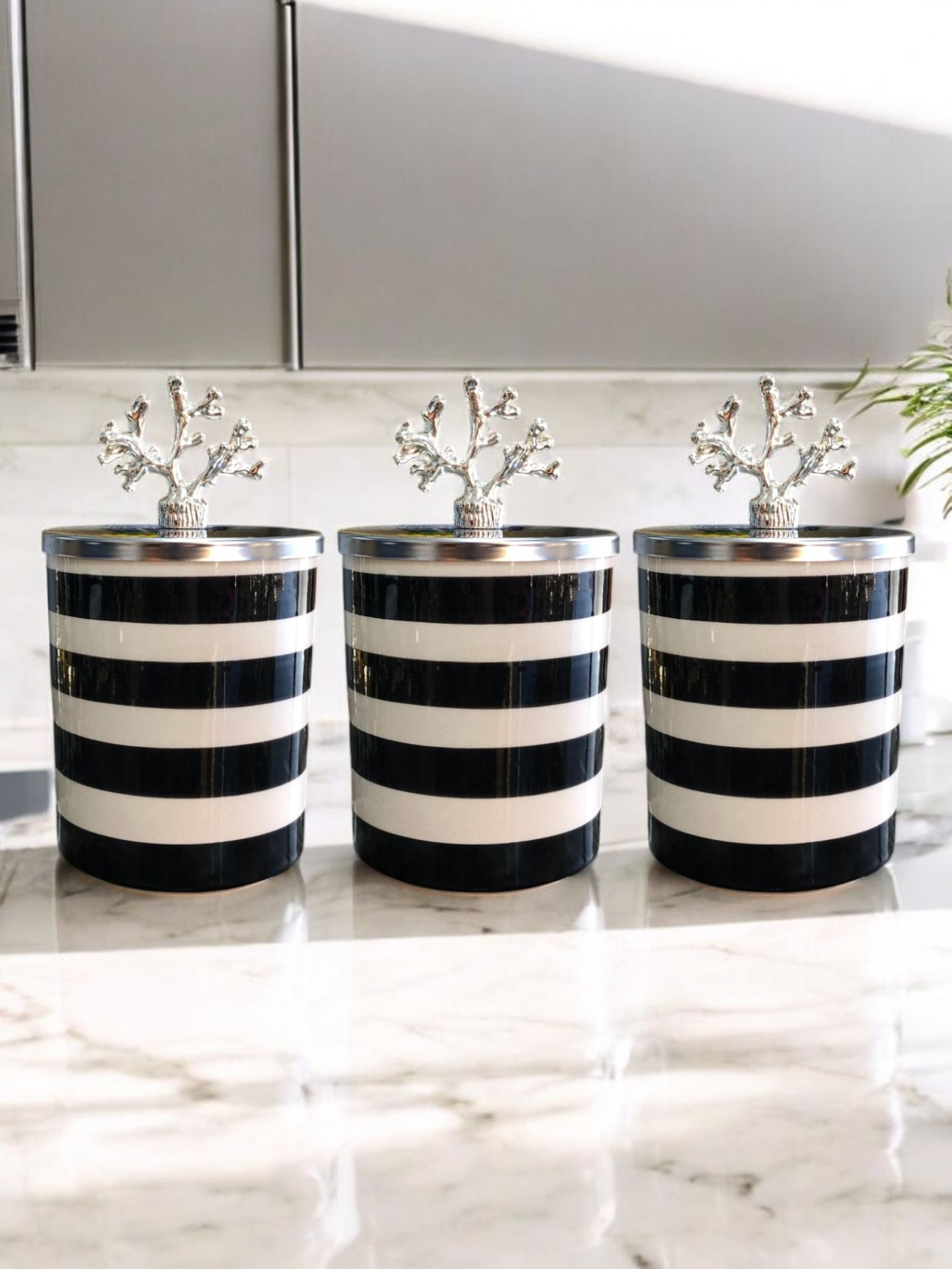 Baharatlık 3 lü Set Kahve Köşesi Klasik Zebra Siyah GÜMÜŞ Mercan