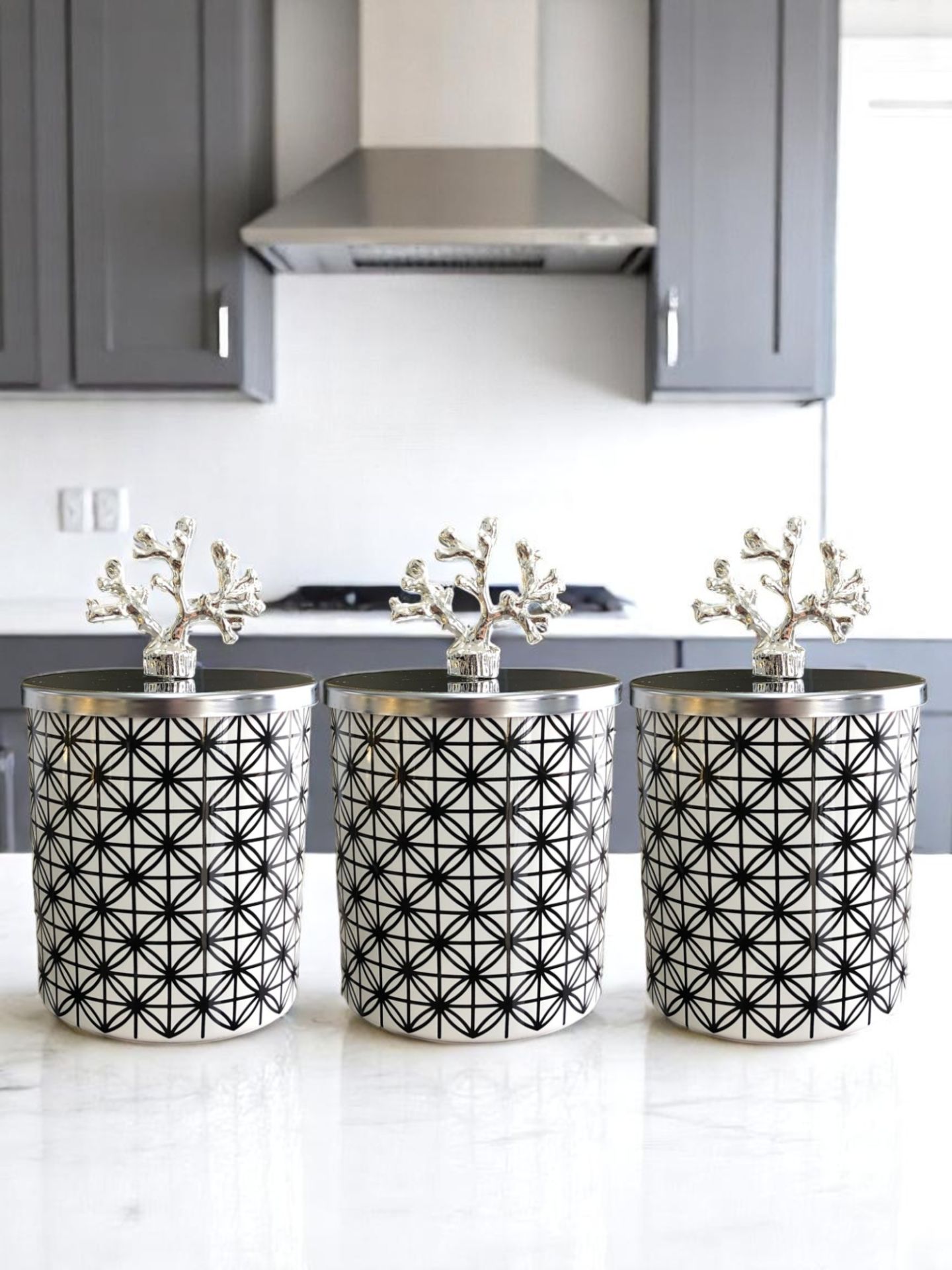 Baharatlık Silindir 3 lü Kahve Köşesi Seti Lonca Desen Siyah 750 ml Hacimli Gümüş