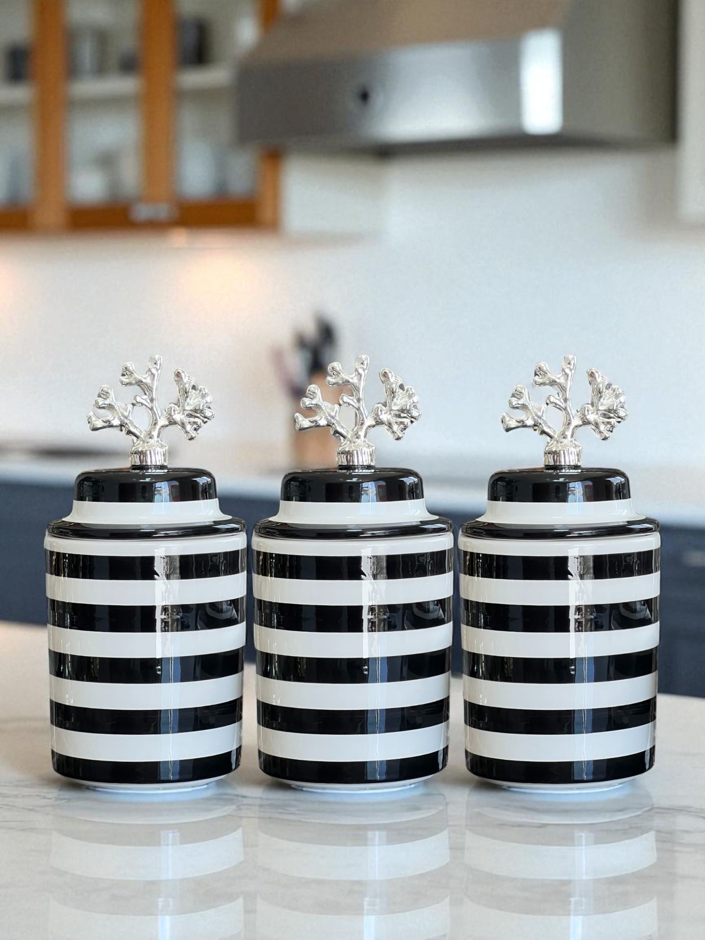 Baharatlık 3 lü Seramik Kapaklı Silindir Kahve Köşesi Seti Siyah Klasik Zebra Gümüş