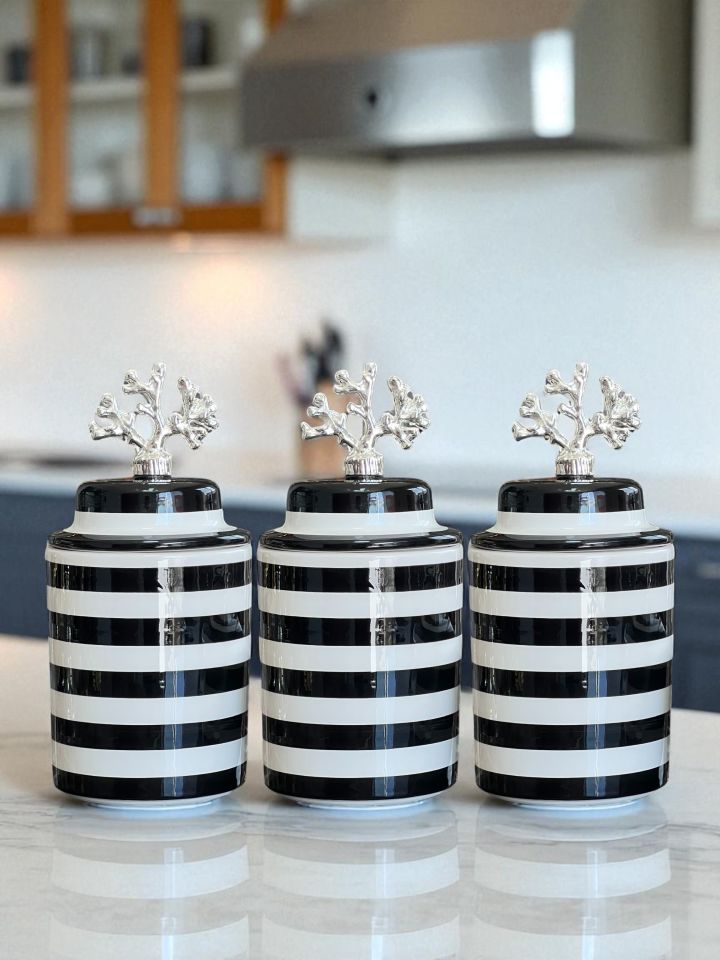 Baharatlık 3 lü Seramik Kapaklı Silindir Kahve Köşesi Seti Siyah Klasik Zebra Gümüş