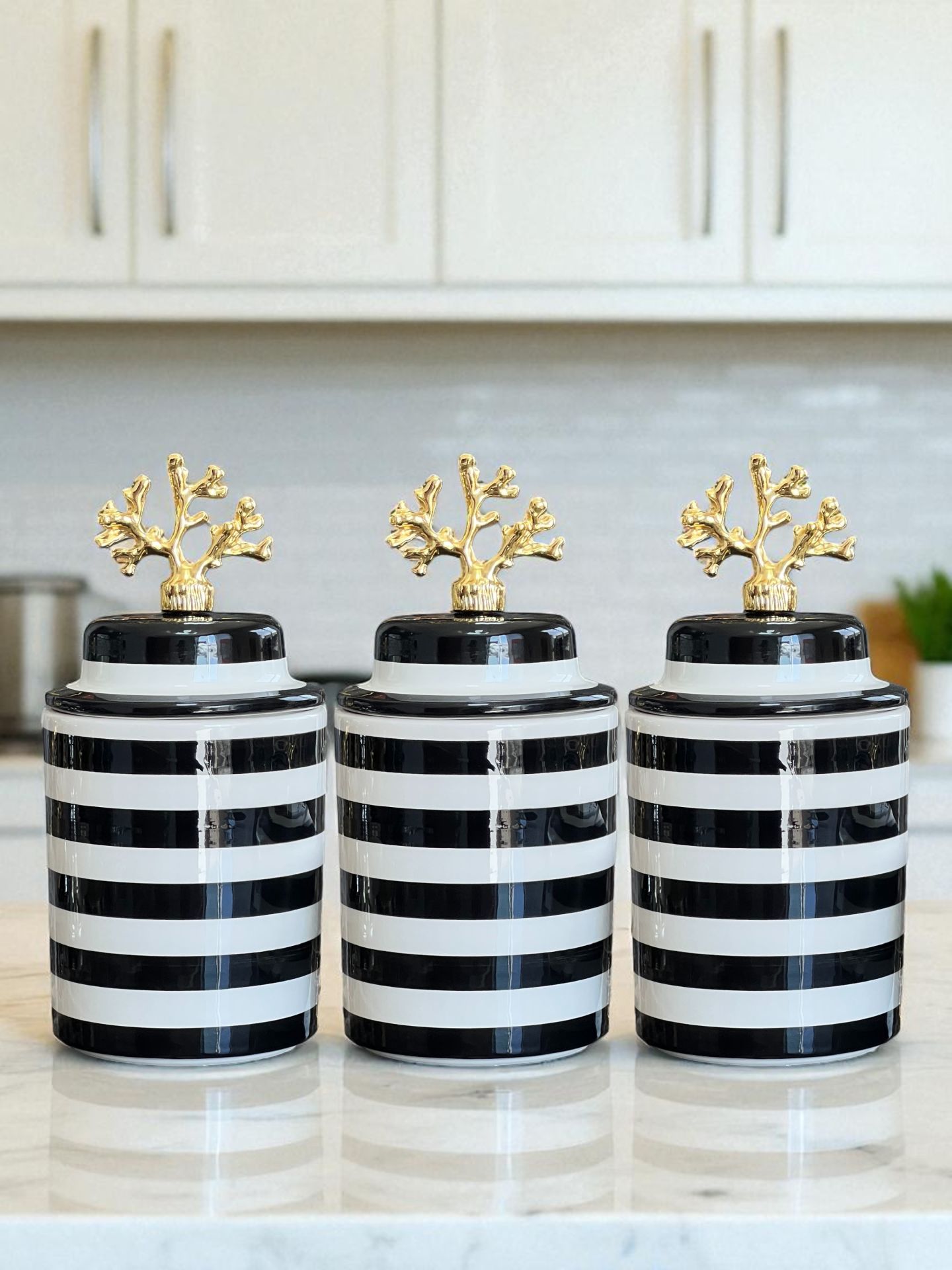 Baharatlık 3 lü Seramik Kapaklı Silindir Kahve Köşesi Seti Siyah Klasik Zebra Gold