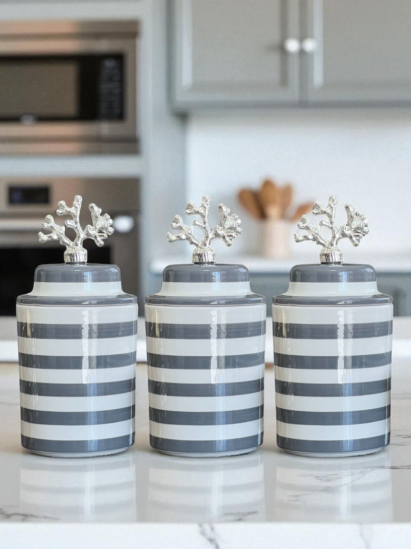 Baharatlık 3 lü Seramik Kapaklı Silindir Kahve Köşesi Seti Gri Klasik Zebra Gümüş