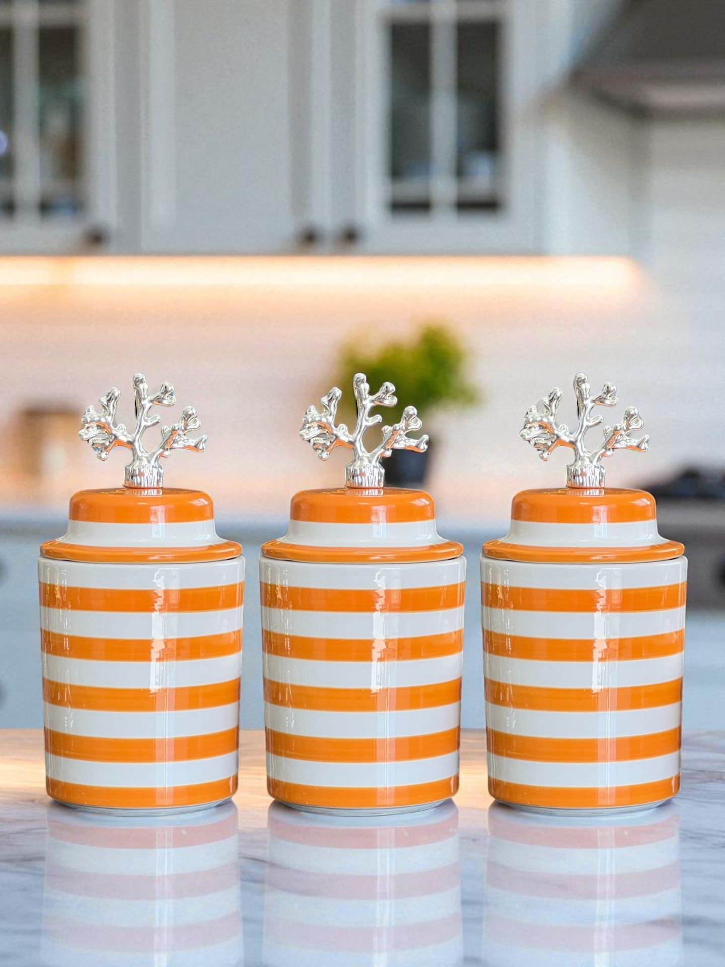 Baharatlık 3 lü Seramik Kapaklı Silindir Kahve Köşesi Seti Soft Sarı Klasik Zebra Gümüş