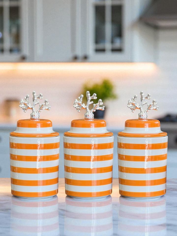 Baharatlık 3 lü Seramik Kapaklı Silindir Kahve Köşesi Seti Soft Sarı Klasik Zebra Gümüş