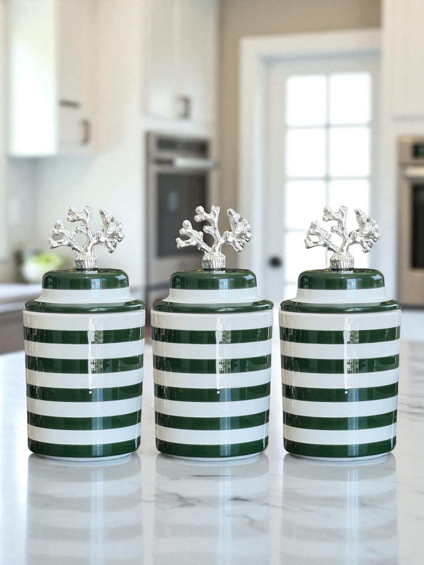 Baharatlık 3 lü Seramik Kapaklı Silindir Kahve Köşesi Seti Yeşil Klasik Zebra Gümüş
