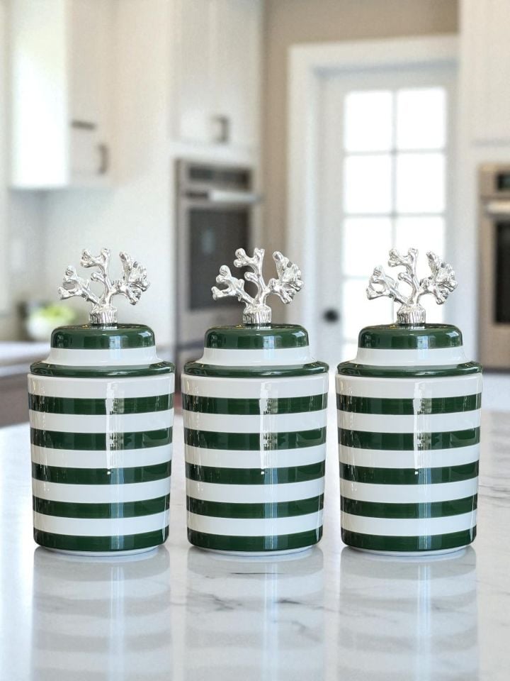 Baharatlık 3 lü Seramik Kapaklı Silindir Kahve Köşesi Seti Yeşil Klasik Zebra Gümüş