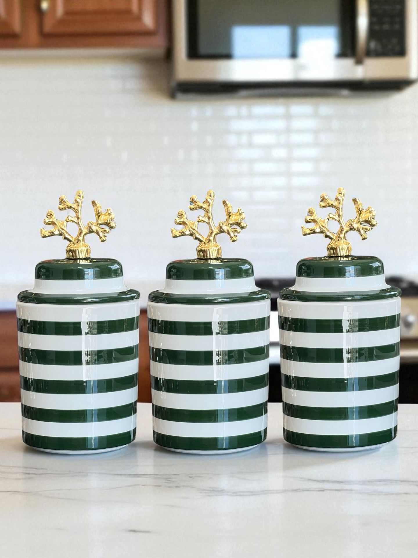 Baharatlık 3 lü Seramik Kapaklı Silindir Kahve Köşesi Seti Yeşil Zebra Gold