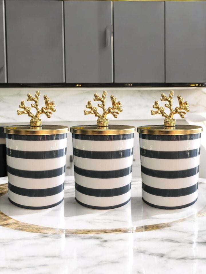 Baharatlık 3 lü Set Kahve Köşesi Klasik Zebra Gri Gold Mercan