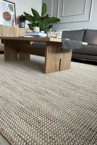 Clam Serisi Sık Bukle Dokuma Modern Bej Renk Halı OH-342