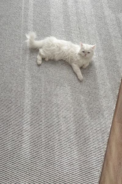 Norge Serisi Yumuşak Dokulu Yeni Nesil Gri Renk Halı AP-7411