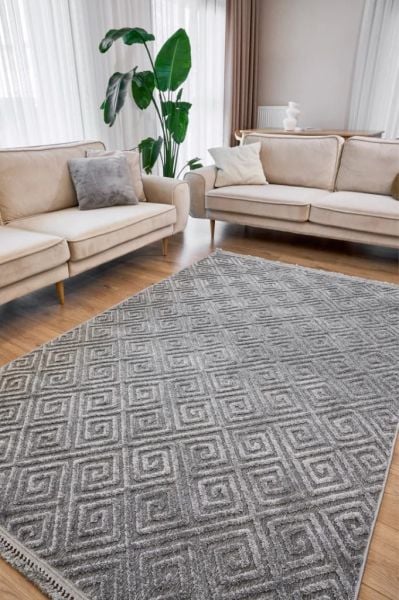 Madra Serisi Hav Toz Vermeyen Modern Dayanıklı Vizon Halı AP-6814