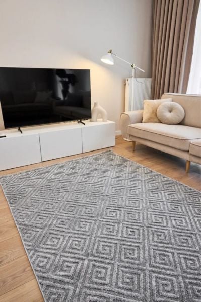Madra Serisi Hav Toz Vermeyen Modern Dayanıklı Vizon Halı AP-6814