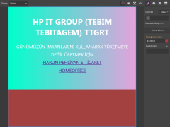 WEB EDİTÖR