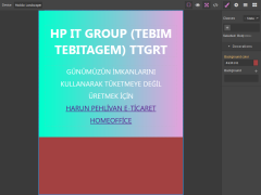 WEB EDİTÖR