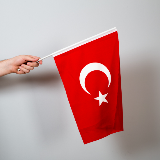 Türk Bayrağı 50x75 cm - Sopalı - Raşel Kumaş - 10 adet