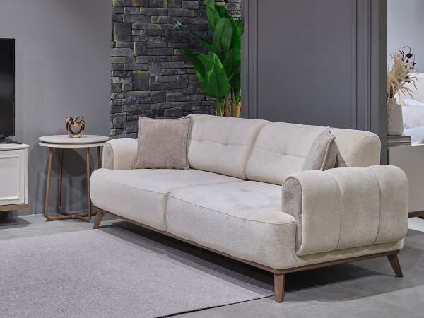 Vizyon Koltuk Takımı