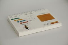 FİKİRZEDE POLYGLOT YABANCI DİL PLANLAYICI