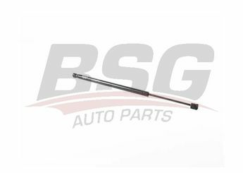 BSG BSG 15-980-070 F31 TOURING BAGAJ AMORTISÖRÜ