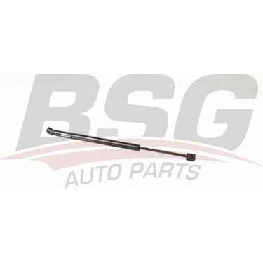 BSG BSG 15-980-076 2F45 BAGAJ AMORTISÖRÜ