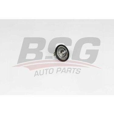 BSG BSG 16-125-006 AVEO T250/T255 TERMOSTAT 88 °C