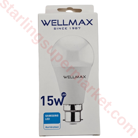 WELLMAX AMPUL LED 15W B22 6500 K