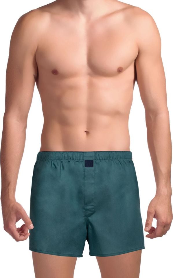 The DON Poplin Erkek Boxer Desen 19