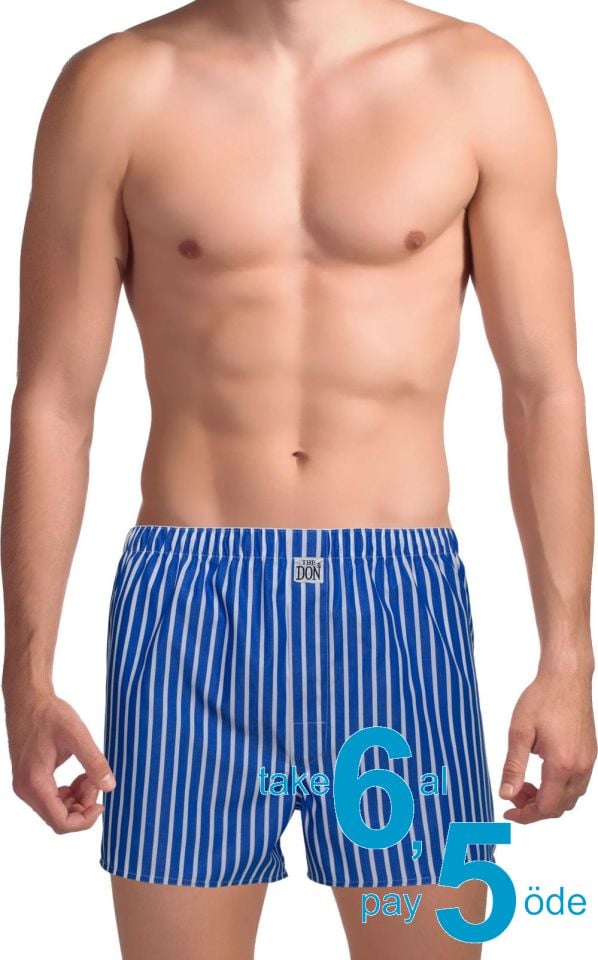 The DON Poplin Erkek Boxer Cerulean Mavi Çizgili