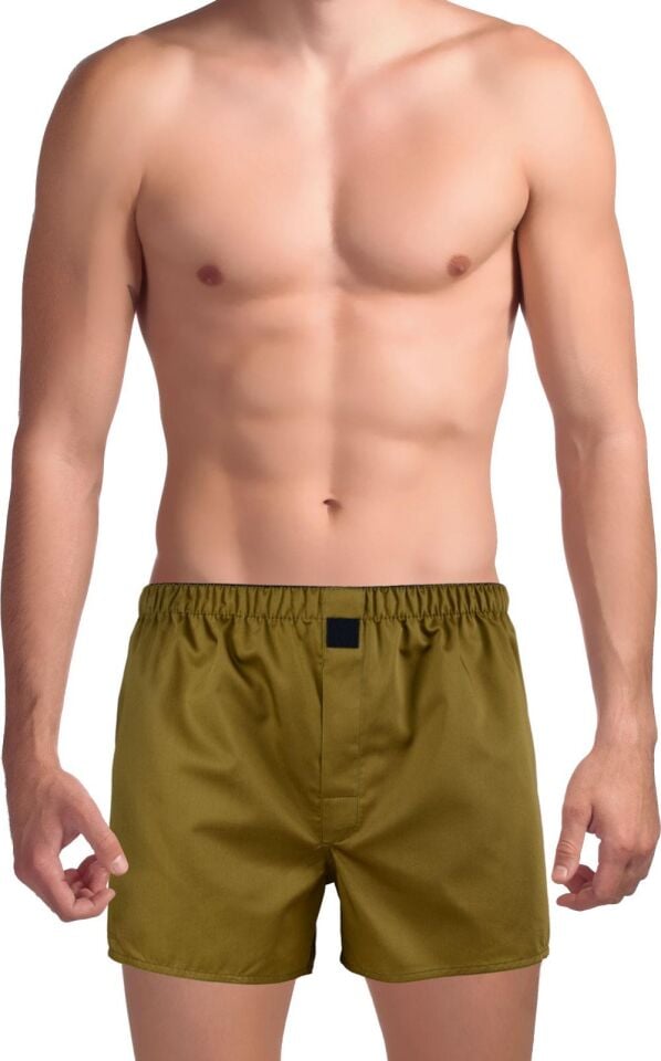 The DON Poplin Erkek Boxer Kına Yeşili