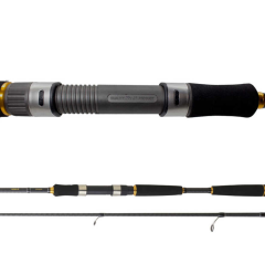 DAIWA KAMIS NEW LEGALIS SEABASS 2.40M 10-35 GR 2P