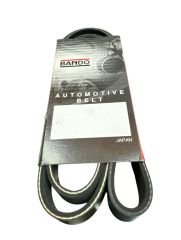 Alternatör Kayışı 1.5 Dci Kango III 2008 Sonrası (Klimasız)