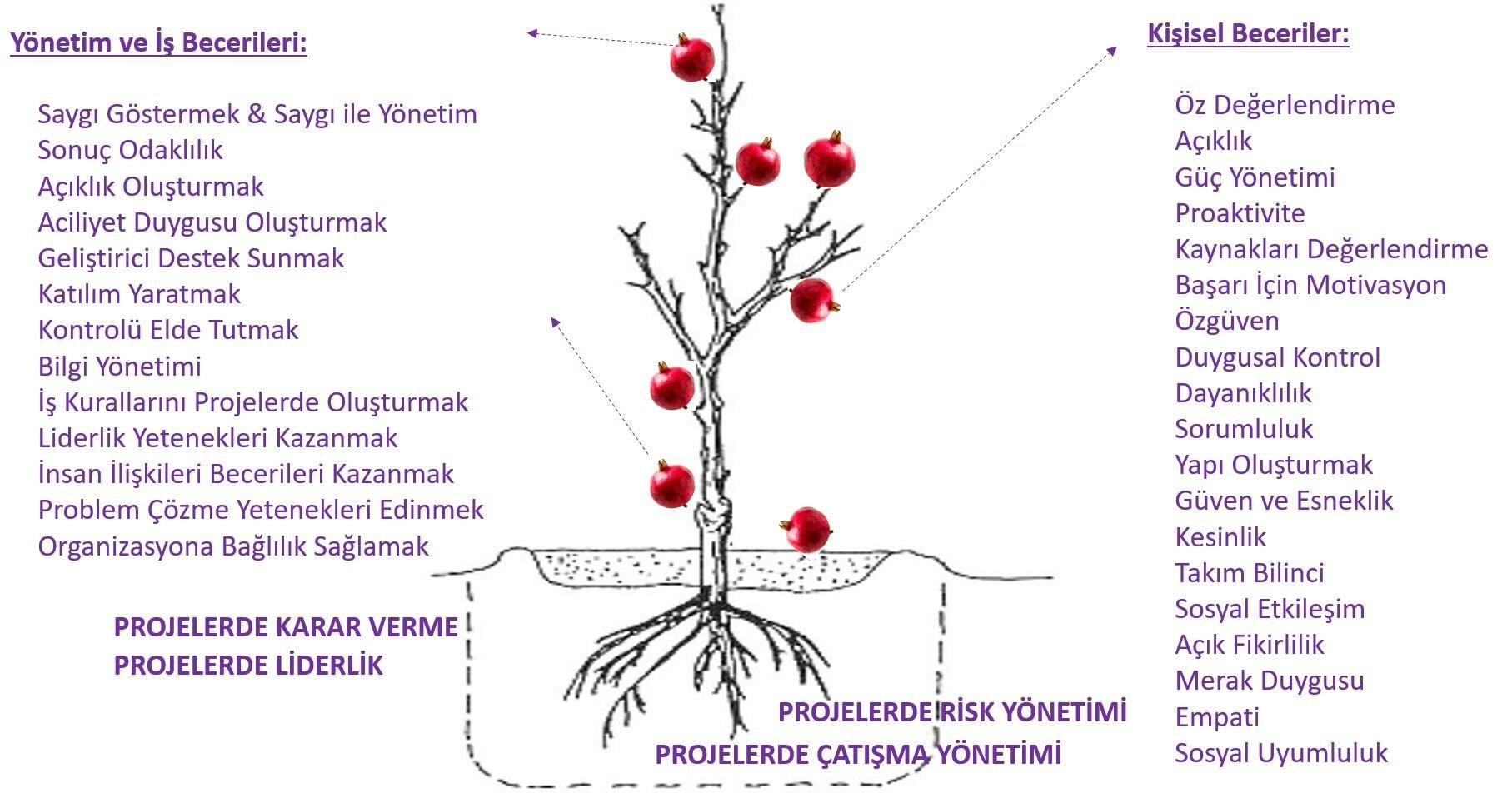 Projelerde Liderlik