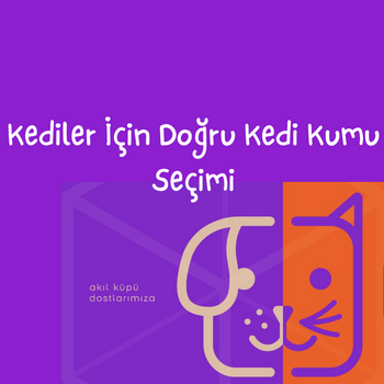 Kediler İçin Doğru Kedi Kumu Seçimi