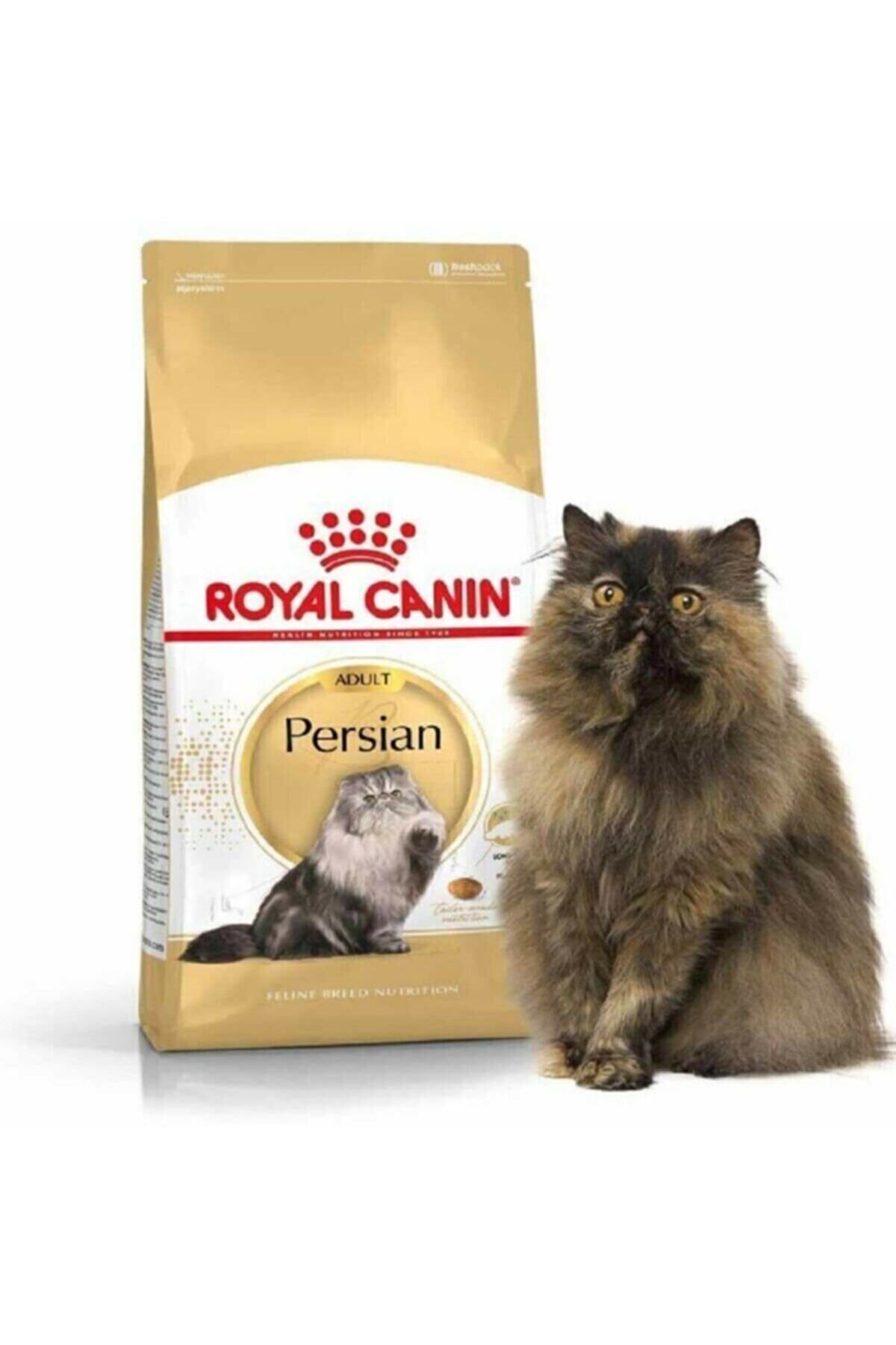 Royal Canin Adult Persian İran Kedilerine Özel 2 Kg Yetişkin Kuru Kedi Maması