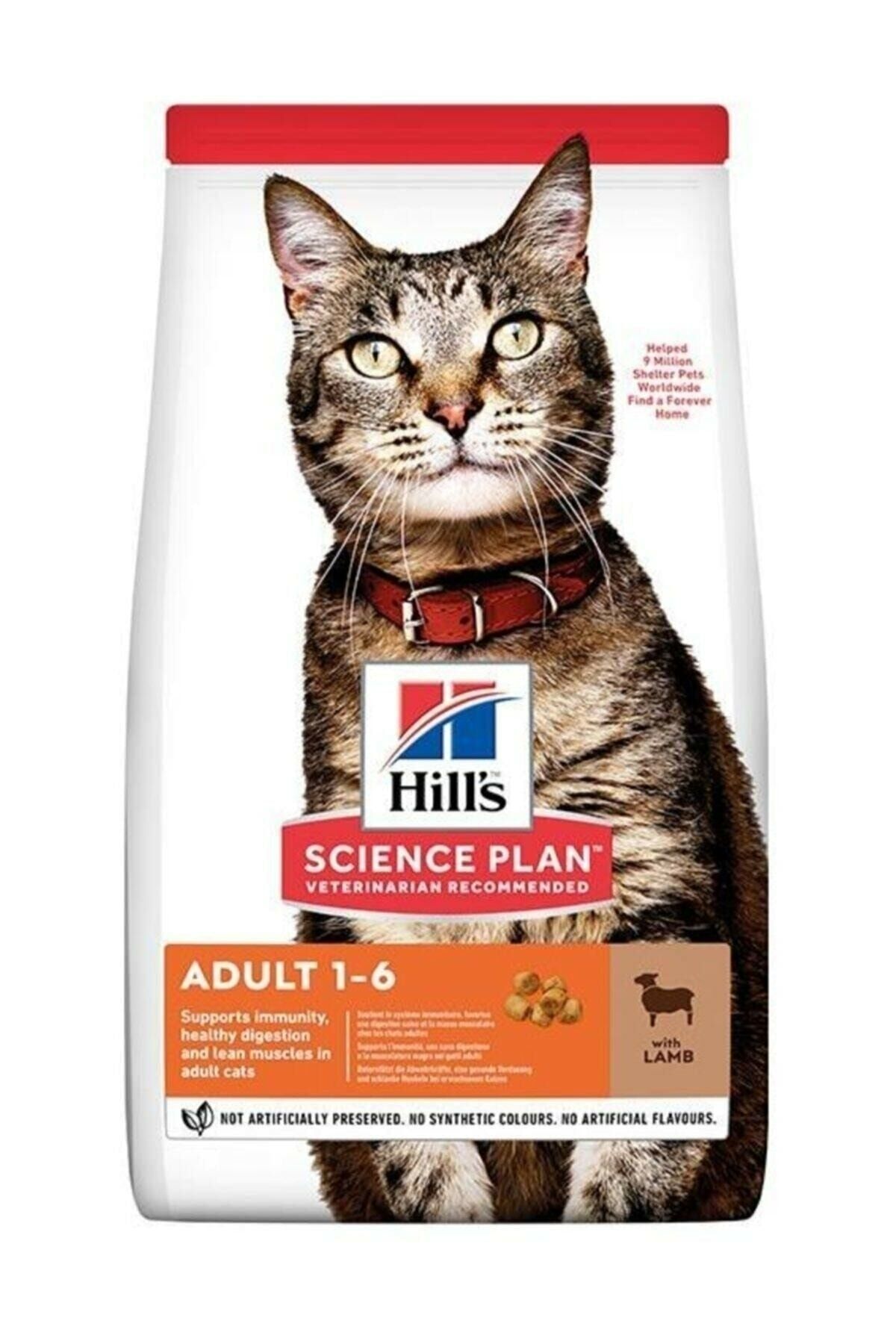 Hills Adult Lamb Kuzu Etli Yetişkin Kedi Maması 3 Kg